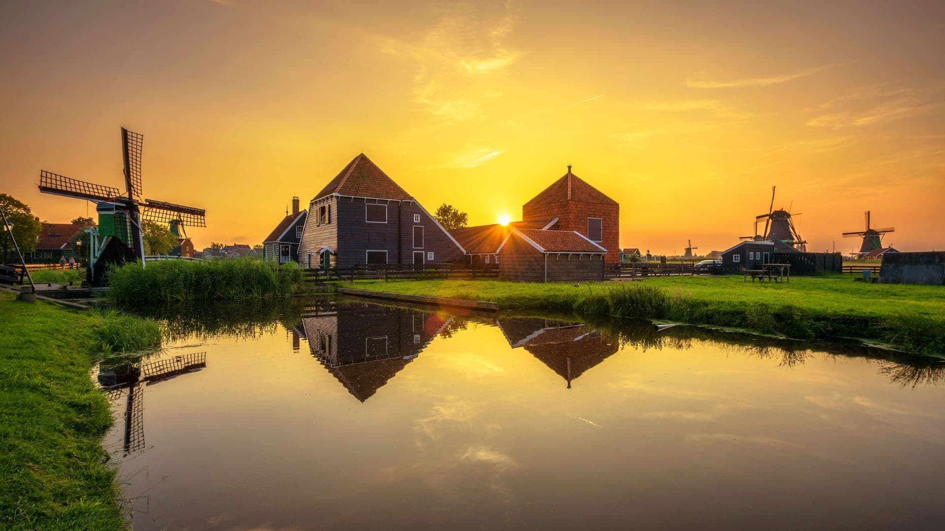 Dutch farm at sunset