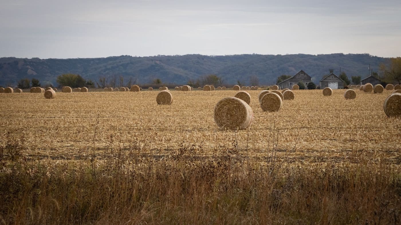 Iowa