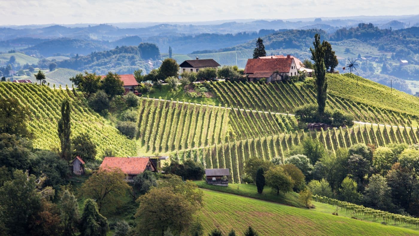 Wineyards in Styria, Austria
