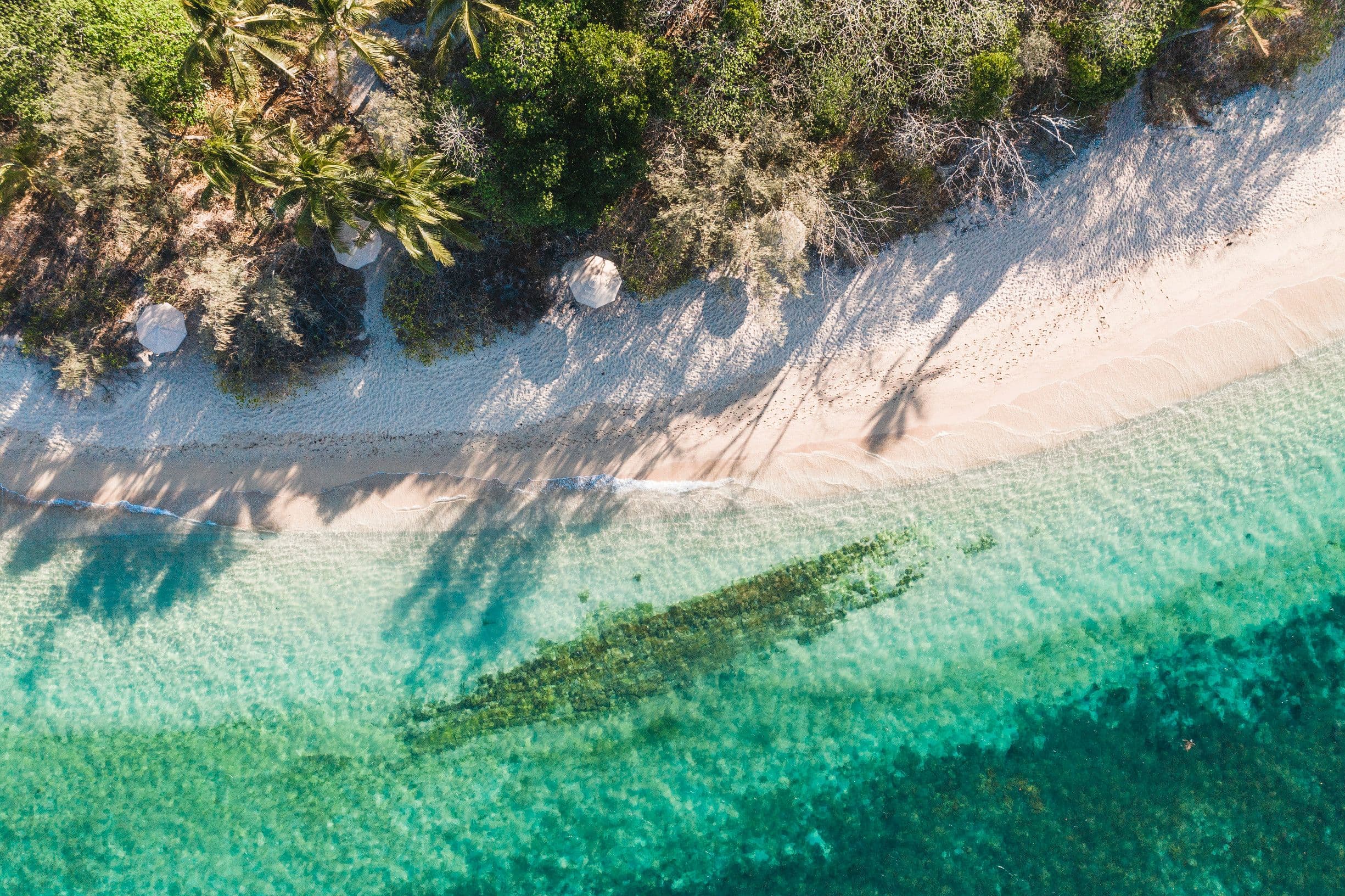 Low Isles, Queensland