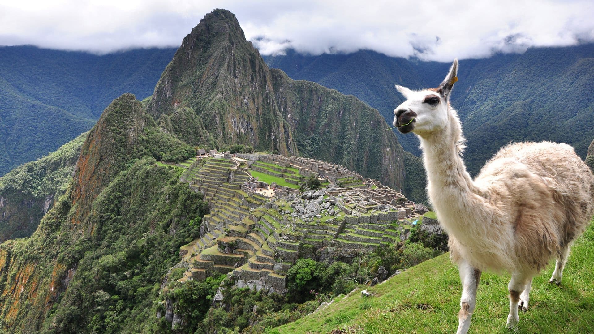 Machu Picchu Inca Ruins, Peru