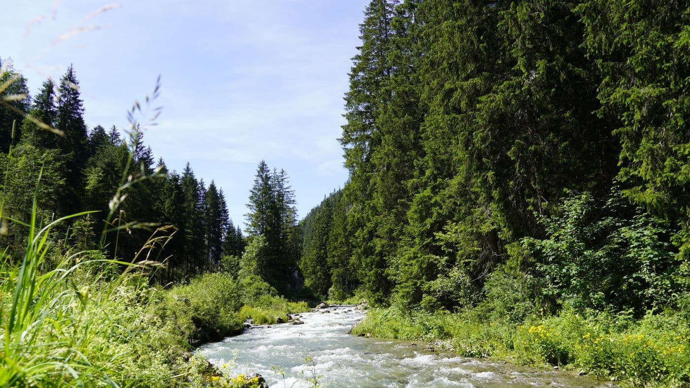 River in Tyrol, Austria near Lermoos