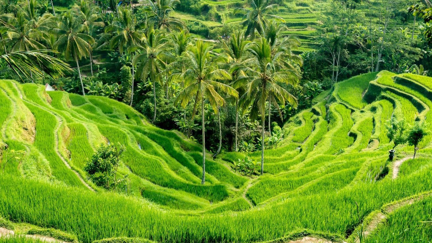 Indonesia