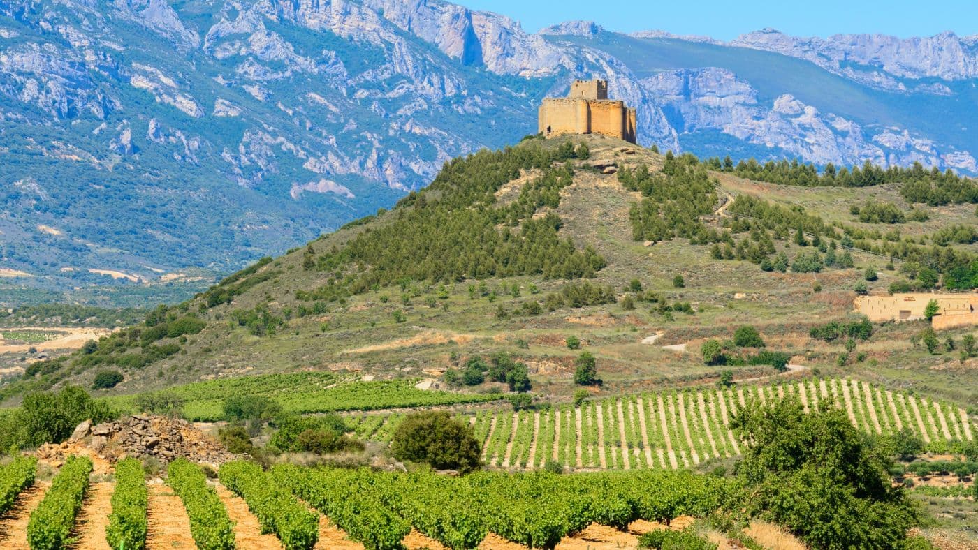 Vineyard with ruins of Davaillo castle as background, La Rioja