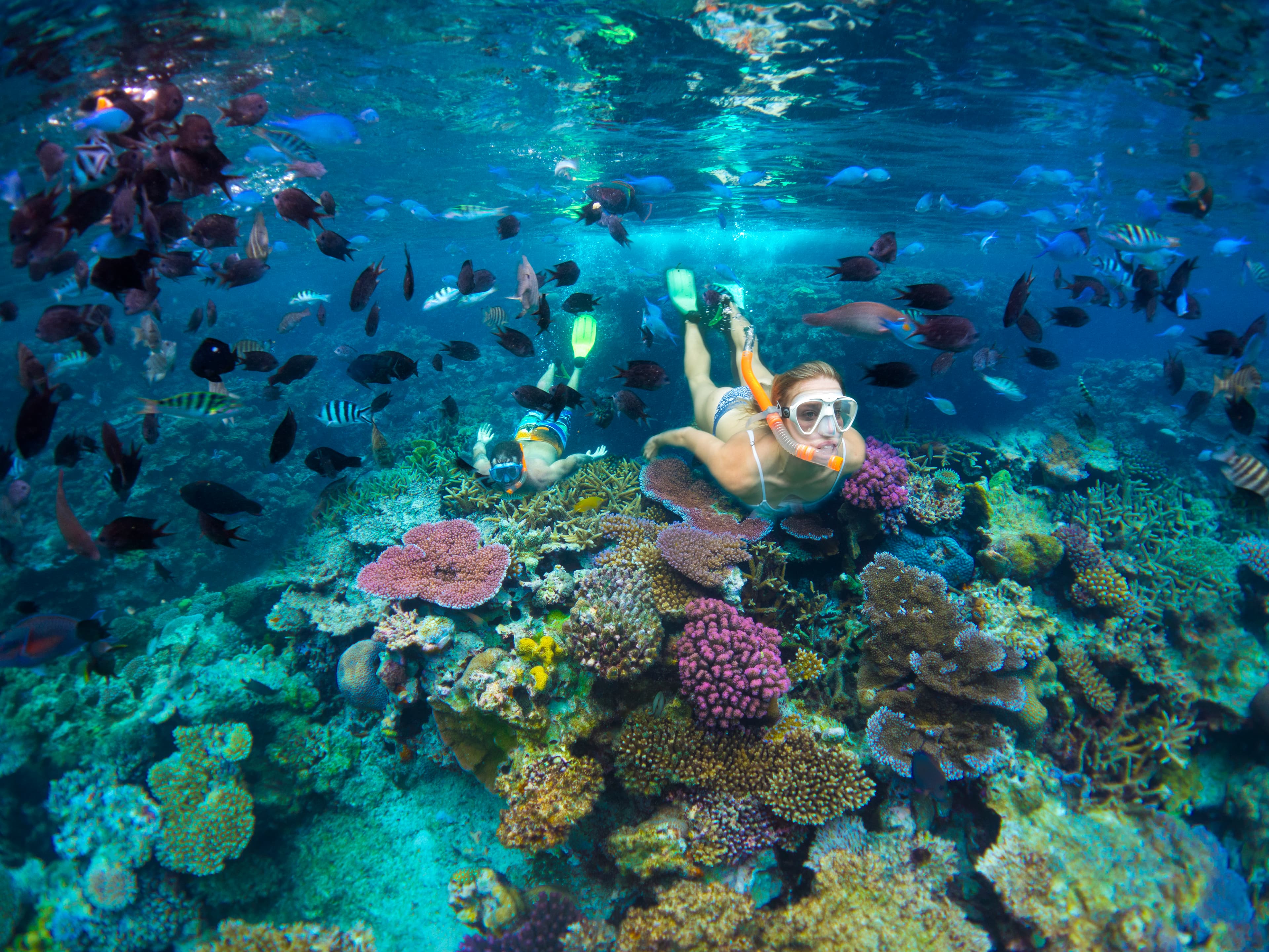 Snorkelling at Efate