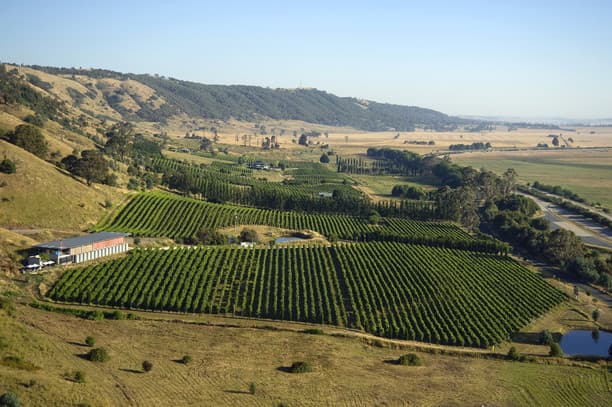 Visit Lerida Estate and sample cool climate wines