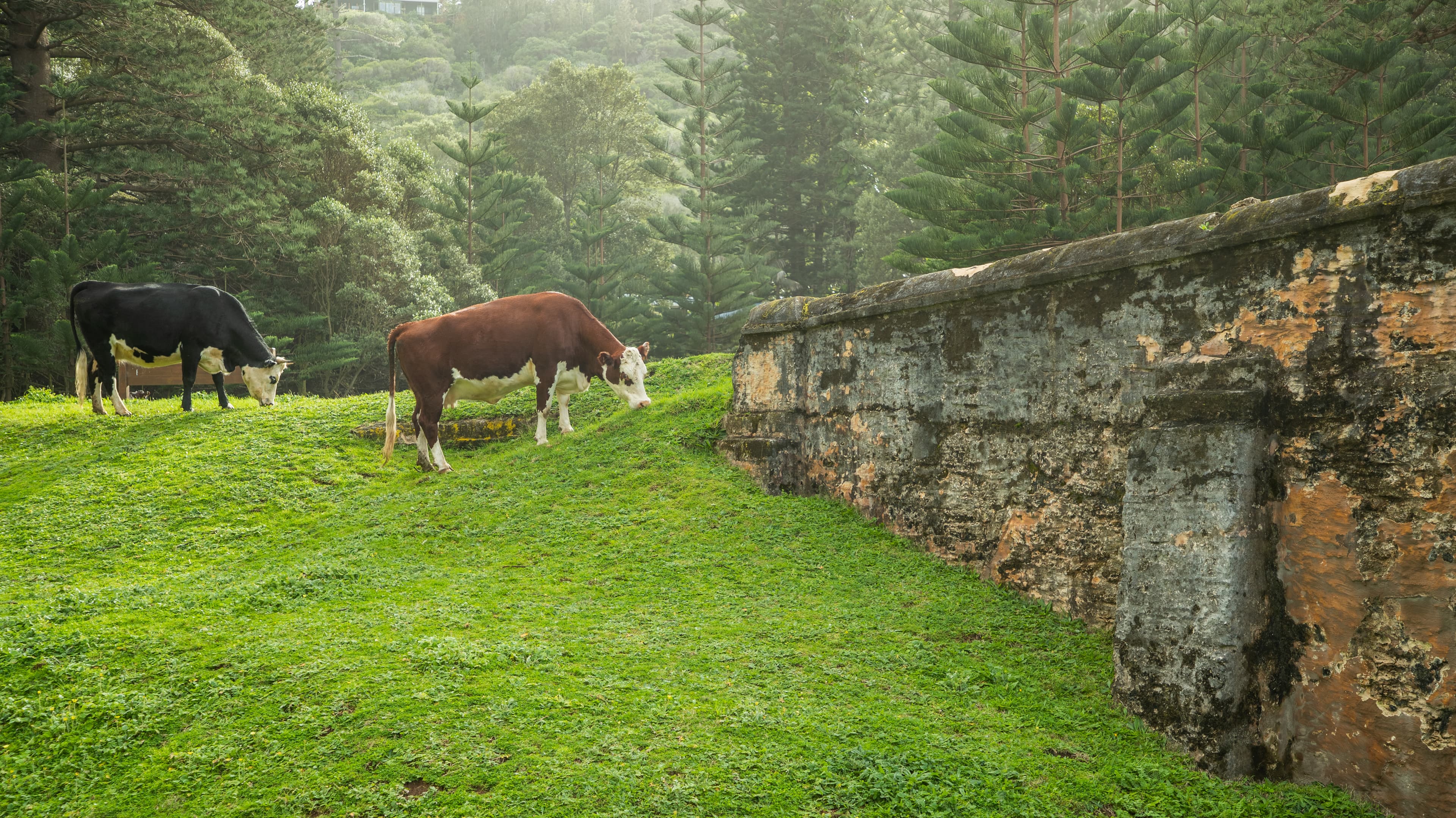 Bloody Bridge, Norfolk Island