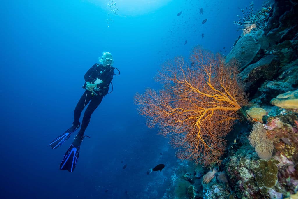 Scuba diving in Christmas Island