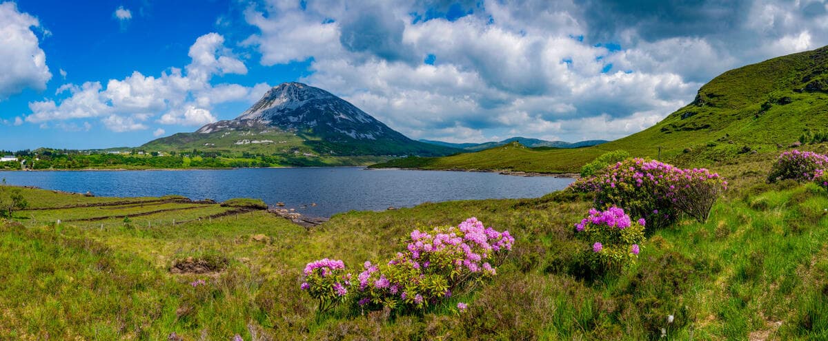 Errigal, Donegal