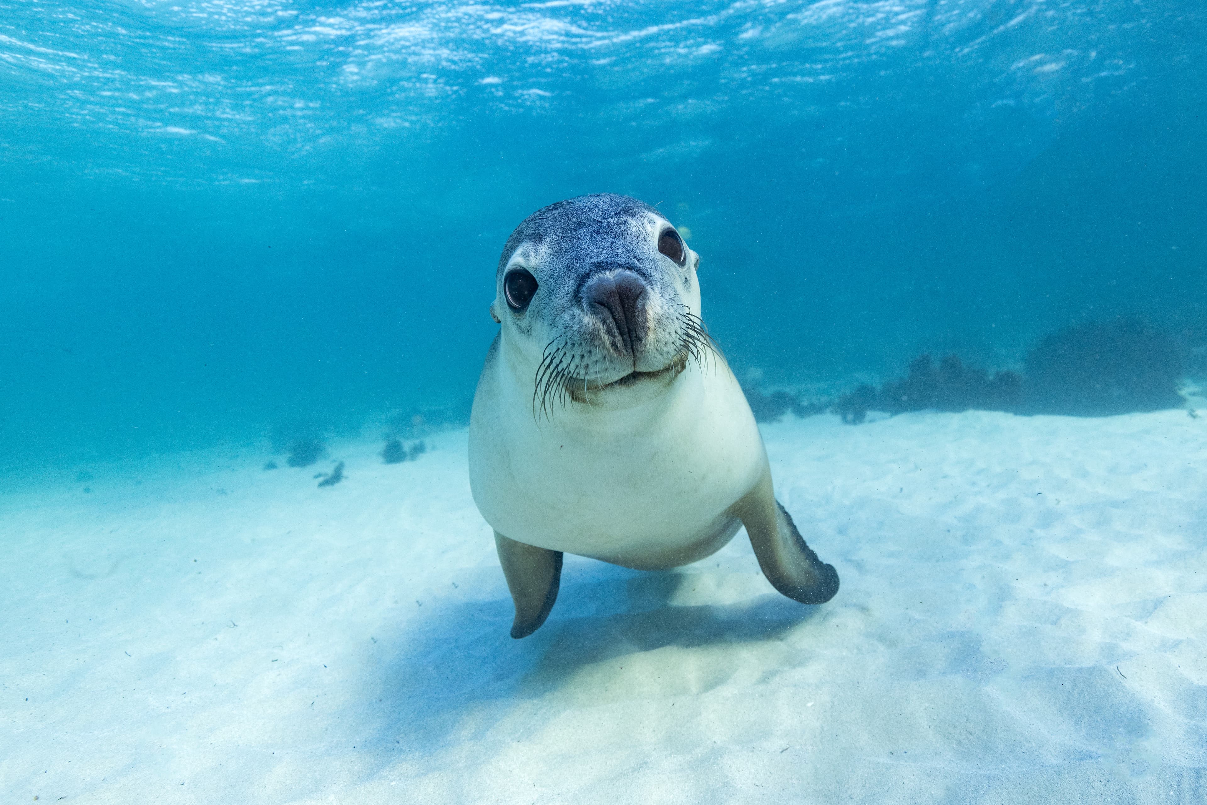 Jurien Bay