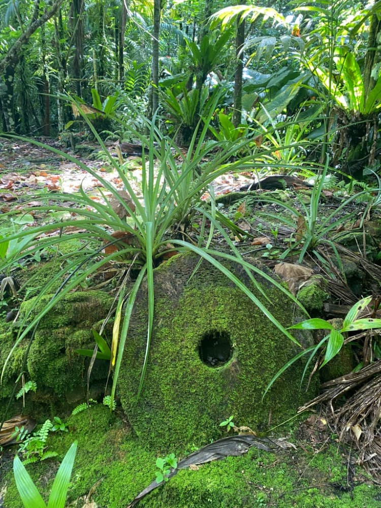 Giant stone coin on Yap